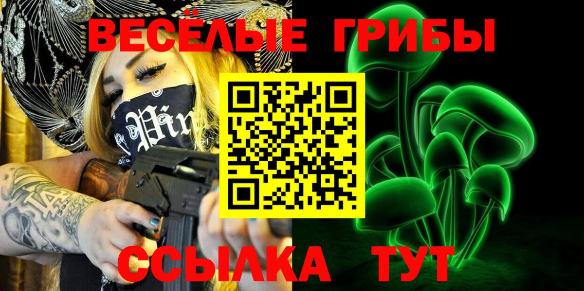 Псилоцибиновые грибы Cubensis Ржев